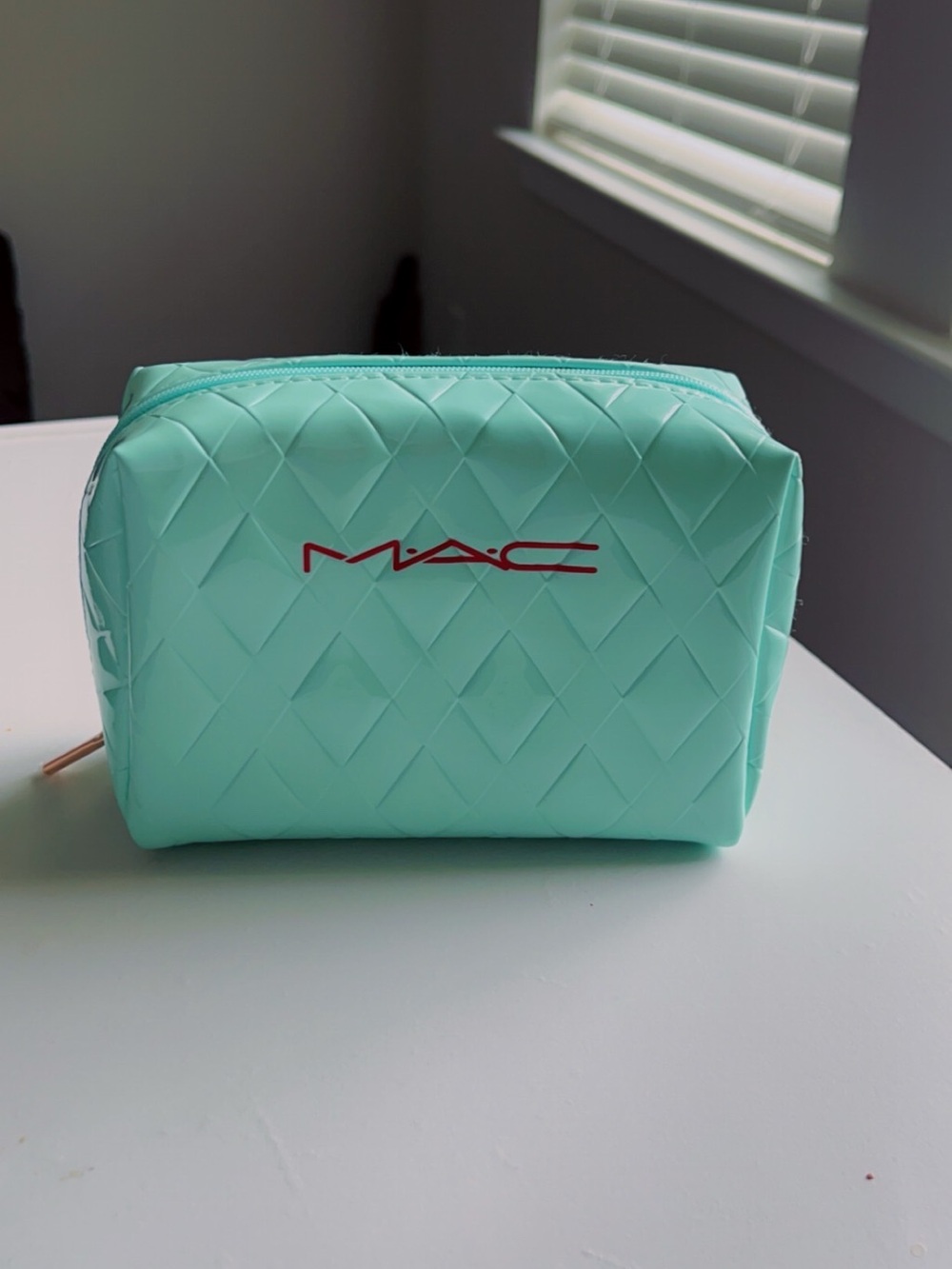 MAC Cosmetics Mint Green Makeup Bag